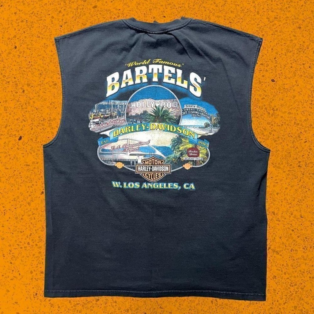 Vintage Harley Davidson shirt